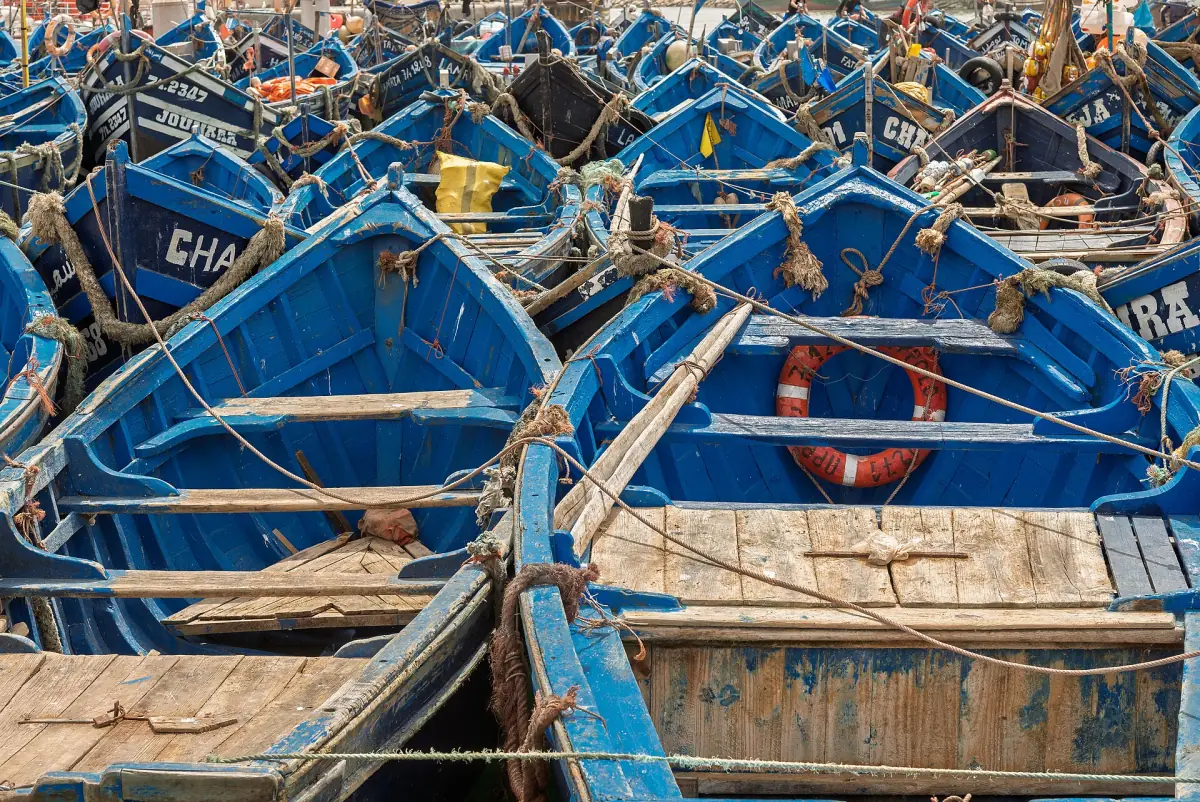 Reihen blauer Fischerboote im Hafen von Essaouira