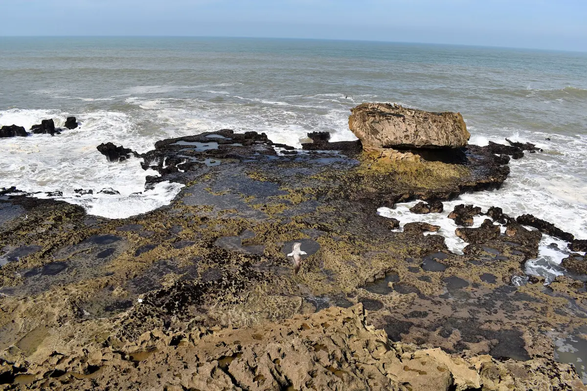 Waves on the rocky coast of Essaouira